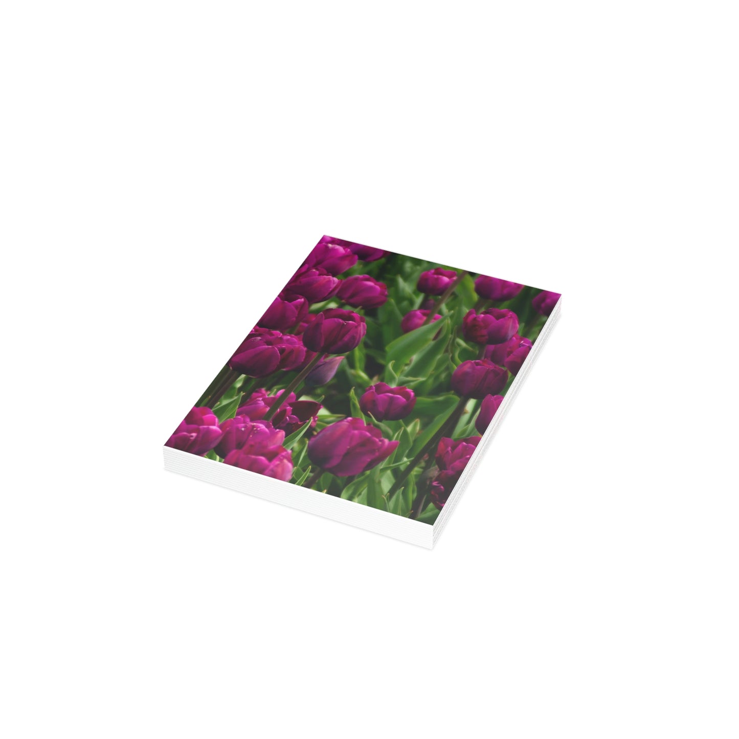 Flowers 20 Greeting Cards (1, 10, 30, and 50pcs)