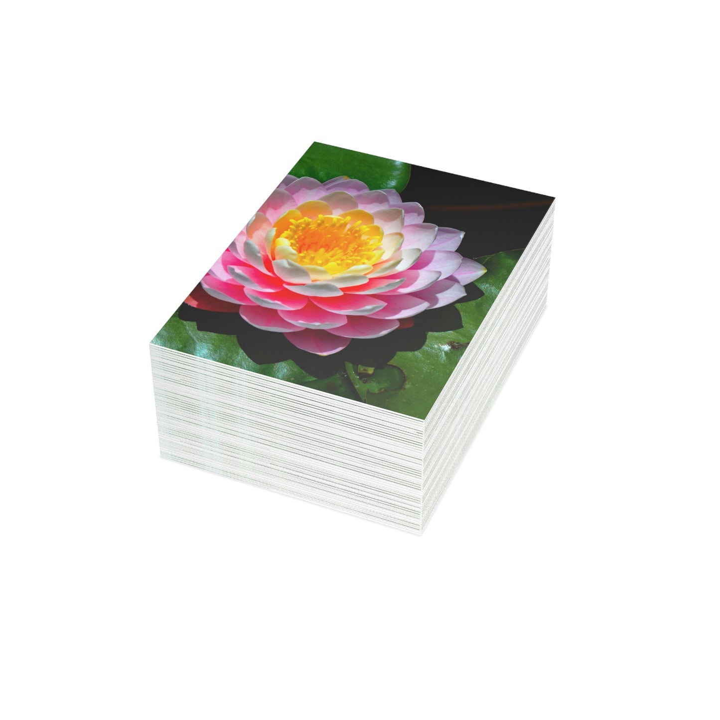 Flowers 25 Greeting Cards (1, 10, 30, and 50pcs)