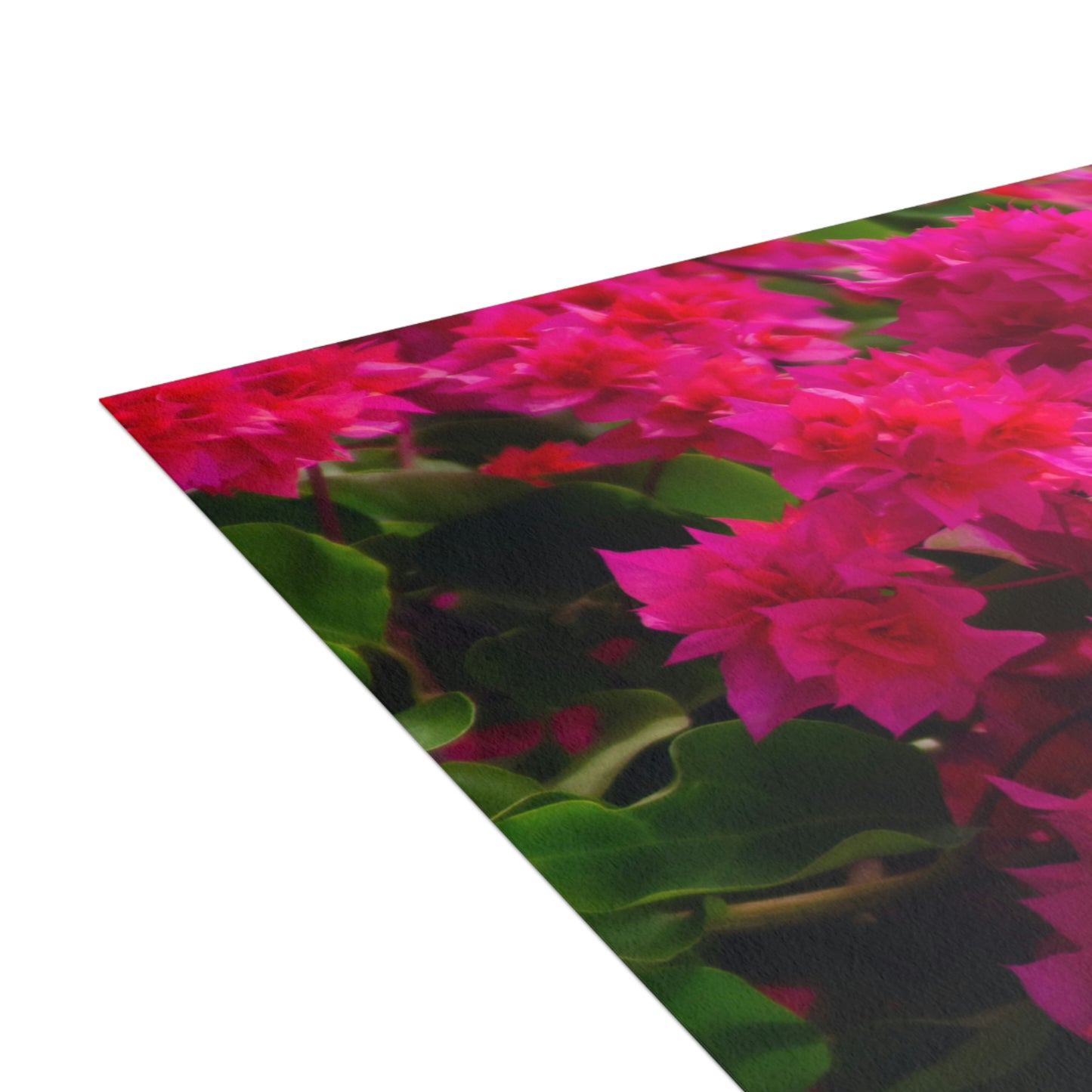 Flowers 28 Greeting Card Bundles (envelopes not included)