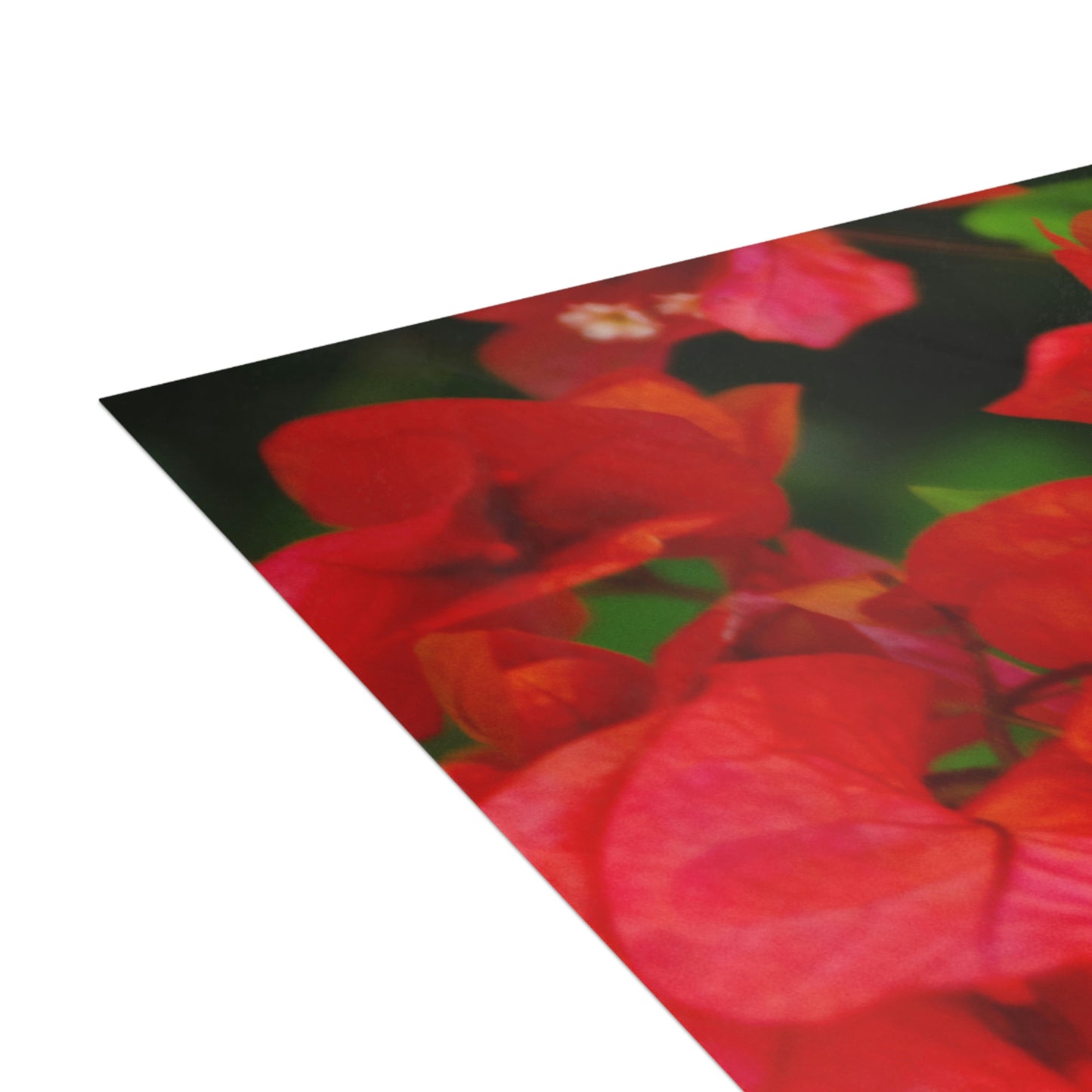 Flowers 28 Greeting Cards (1, 10, 30, and 50pcs)