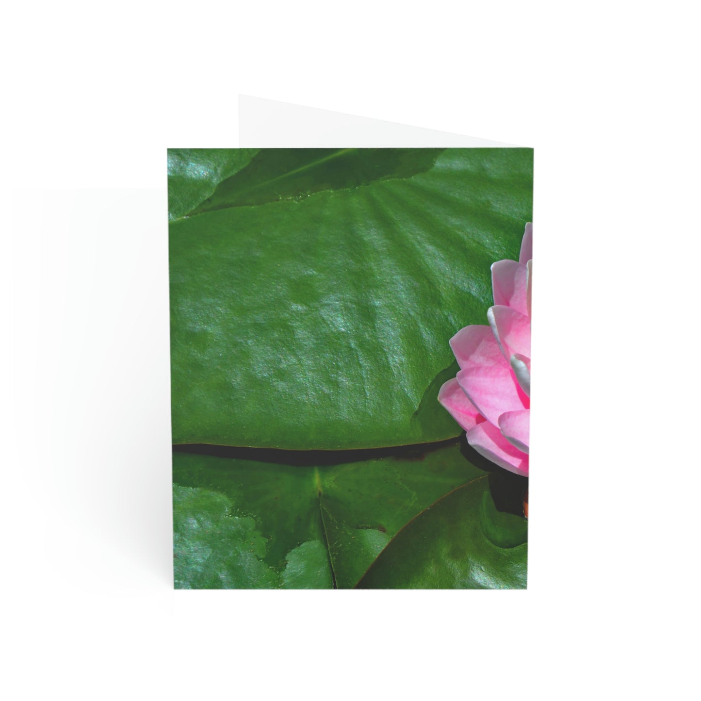 Flowers 25 Greeting Cards (1, 10, 30, and 50pcs)