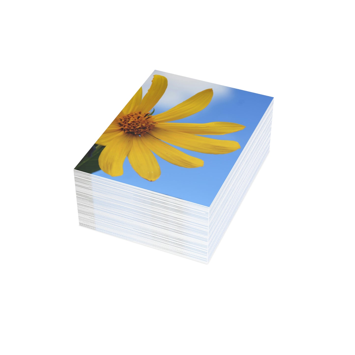 Flowers 32 Greeting Cards (1, 10, 30, and 50pcs)