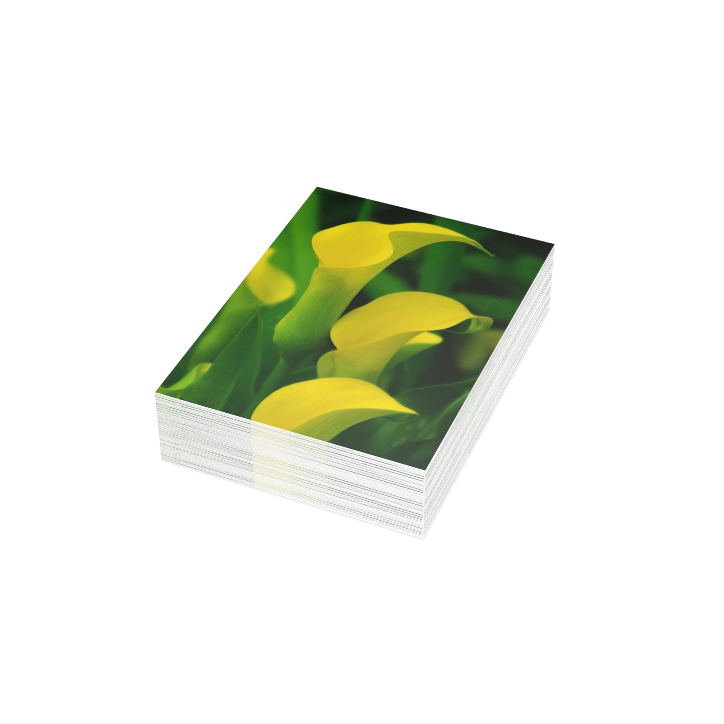 Flowers 33 Greeting Cards (1, 10, 30, and 50pcs)