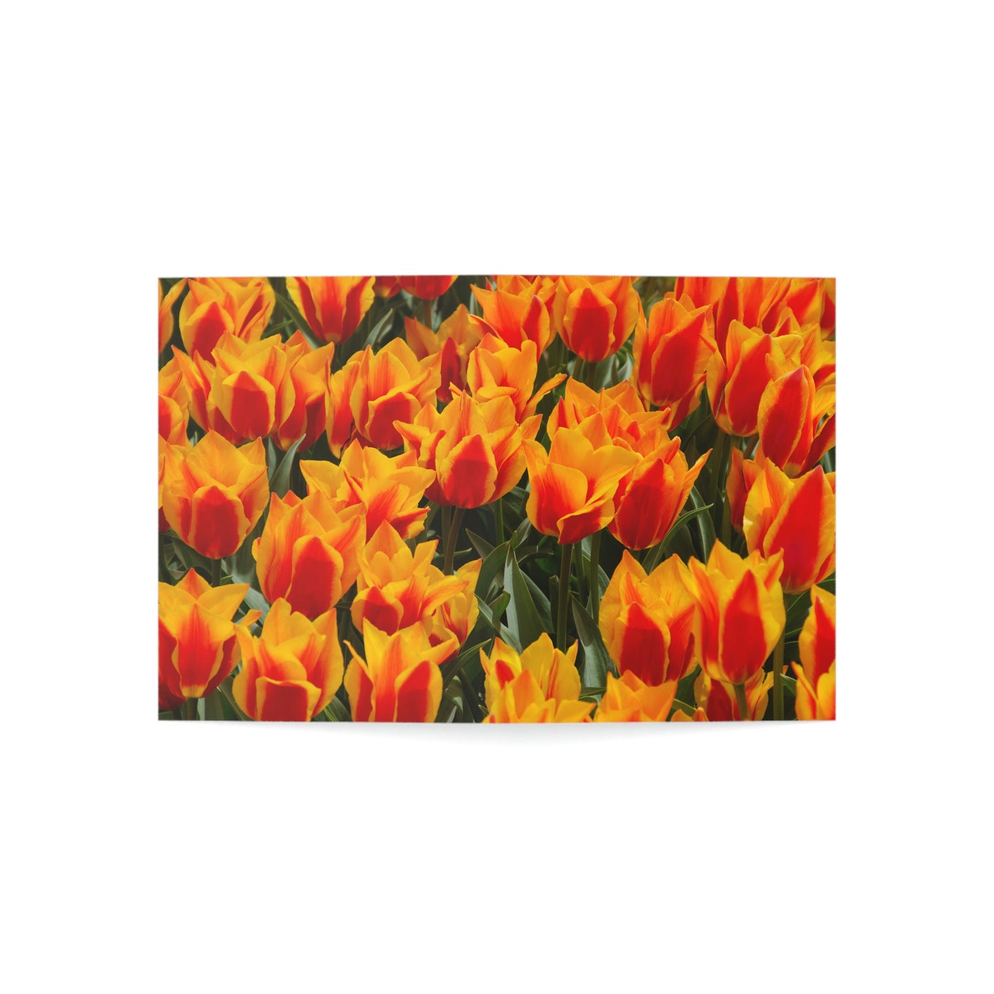 Flowers 18 Greeting Cards (1, 10, 30, and 50pcs)