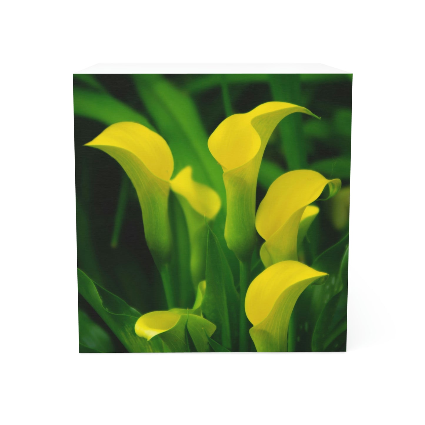 Flower 35 Note Cube