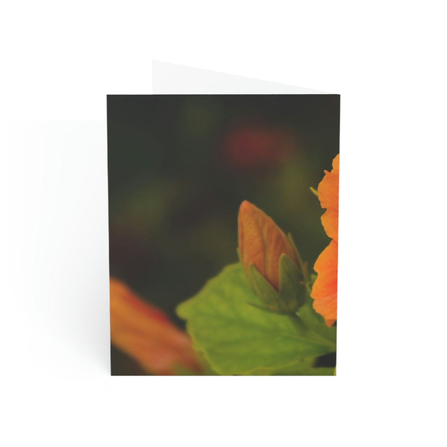 Flowers 31 Greeting Cards (1, 10, 30, and 50pcs)