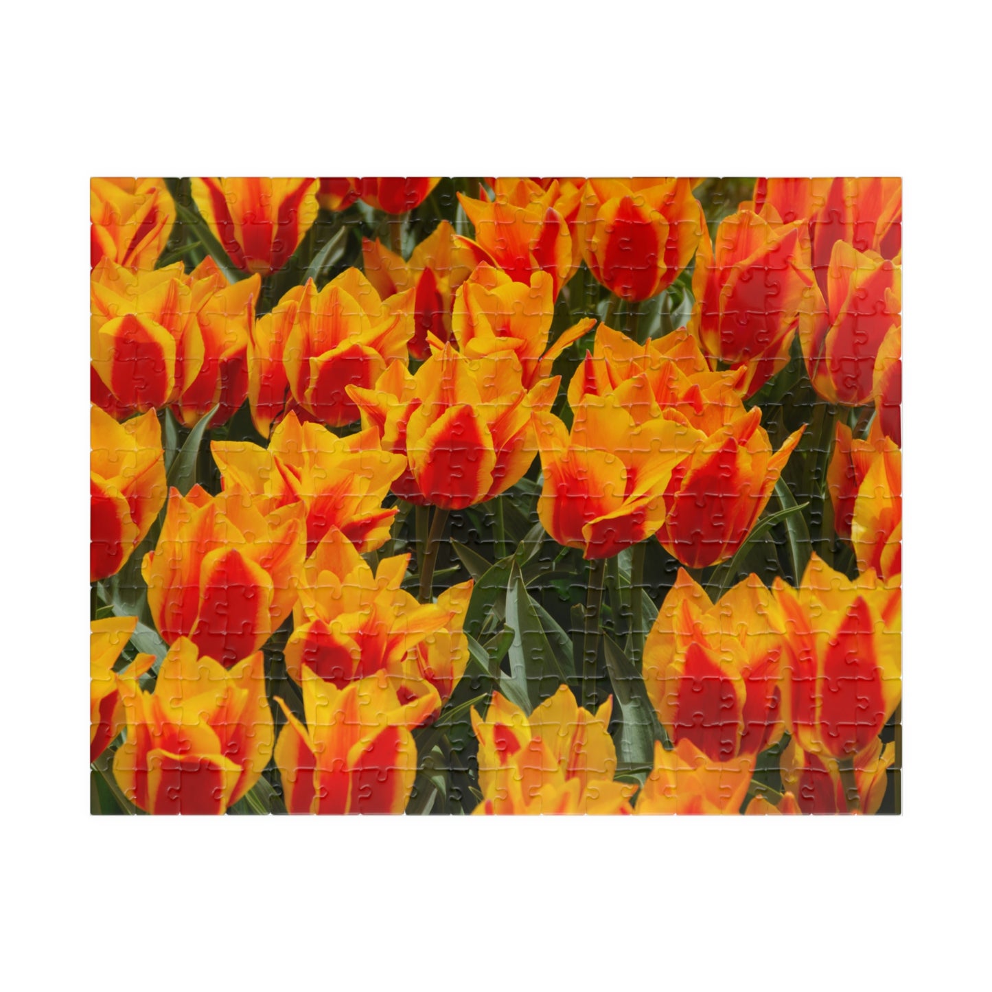 Flowers 17 Puzzle (110, 252, 500, 1014-piece)