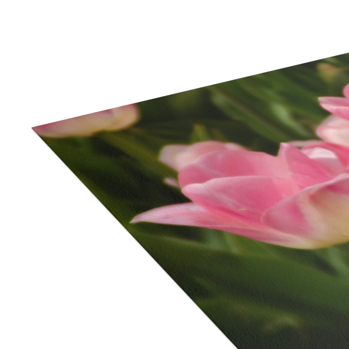 Flowers 17 Greeting Cards (1, 10, 30, and 50pcs)