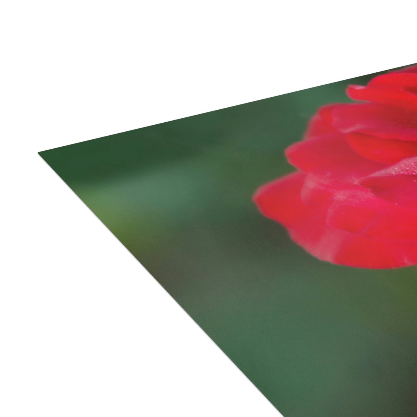Flowers 13 Greeting Cards (1, 10, 30, and 50pcs)