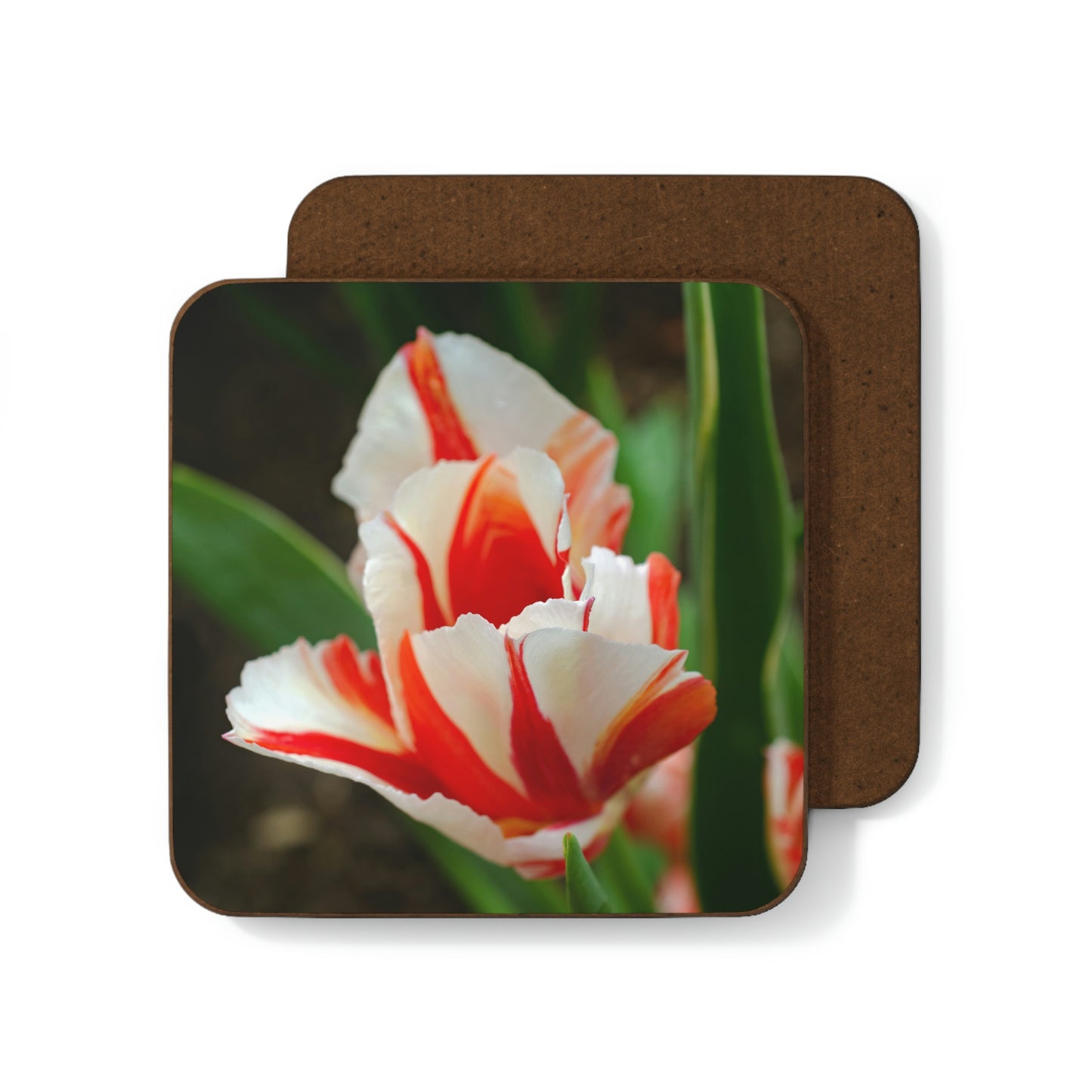 Flowers 06 Hardboard Back Coaster