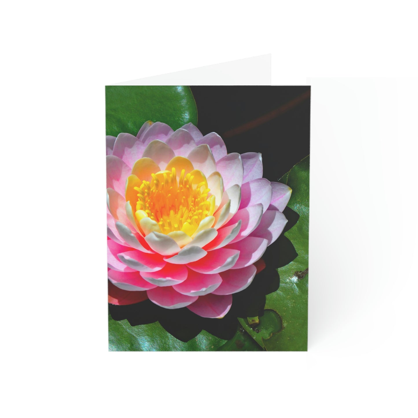 Flowers 25 Greeting Cards (1, 10, 30, and 50pcs)