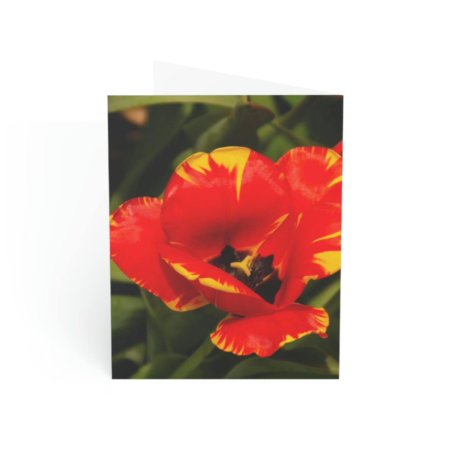 Flowers 09 Greeting Cards (1, 10, 30, and 50pcs)