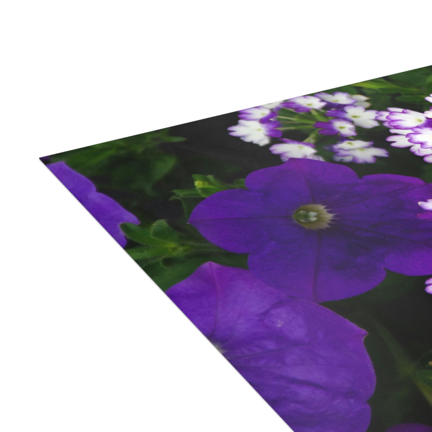 Flowers 04 Greeting Cards (1, 10, 30, and 50pcs)