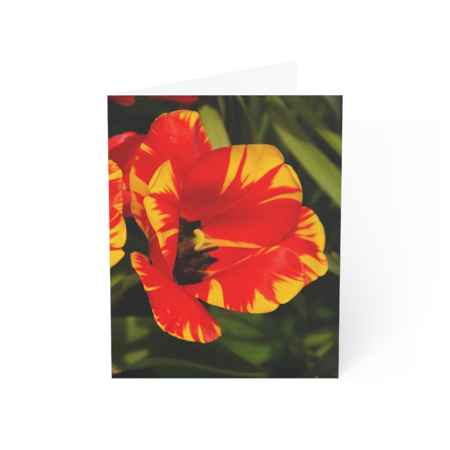 Flowers 09 Greeting Cards (1, 10, 30, and 50pcs)