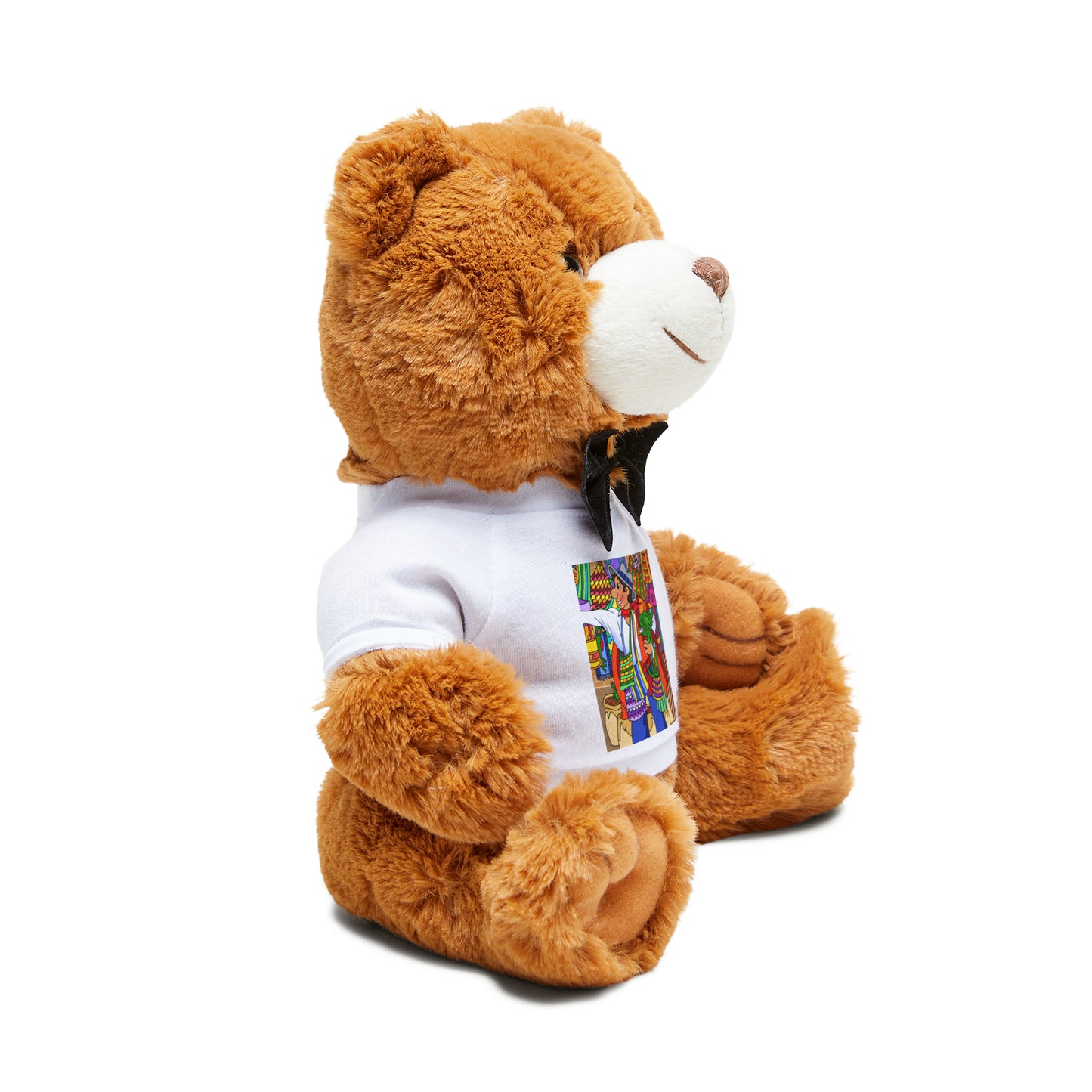 Missing a Few Jewels b Teddy Bear with T-Shirt