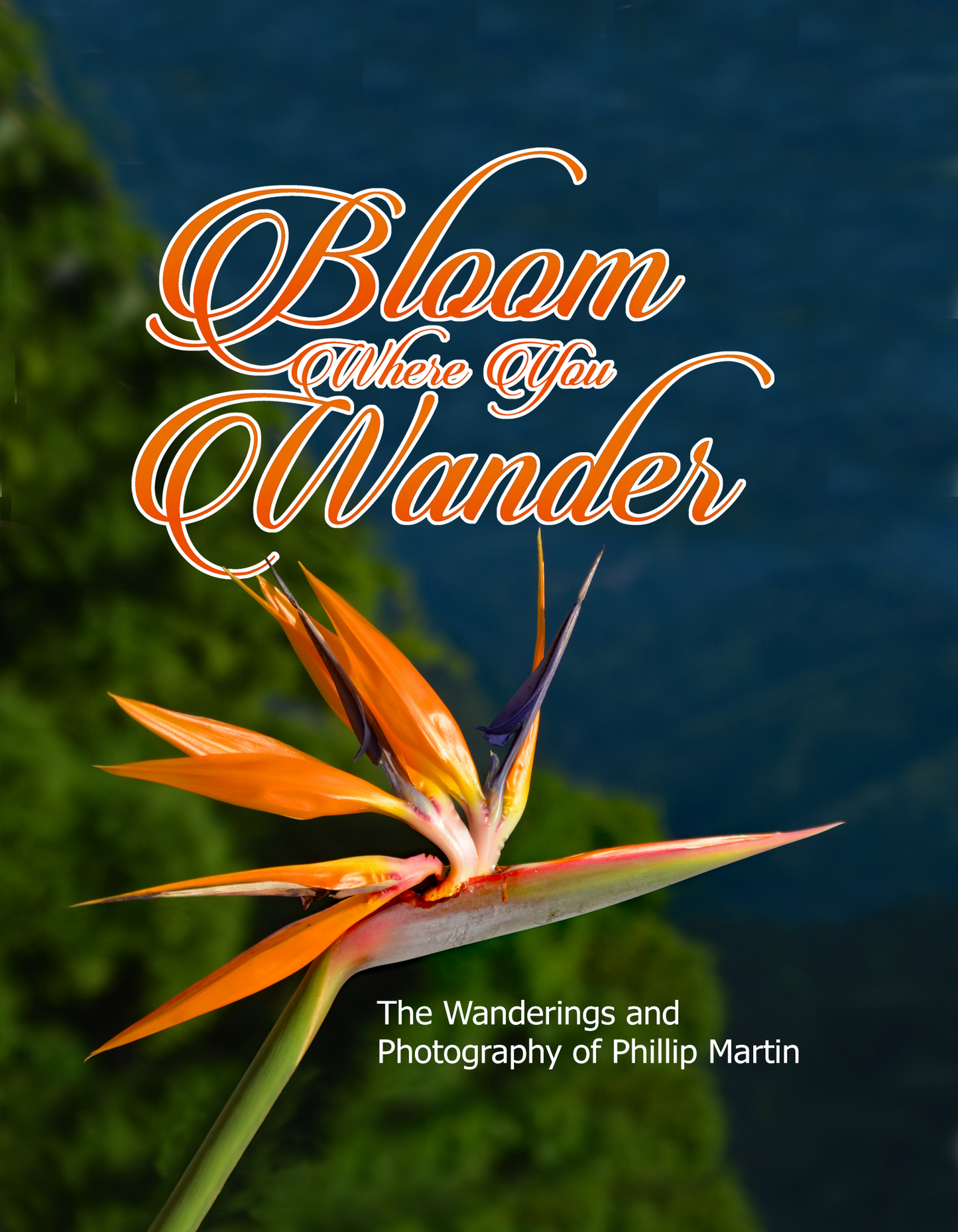 Bloom Where You Wander (Expanded)