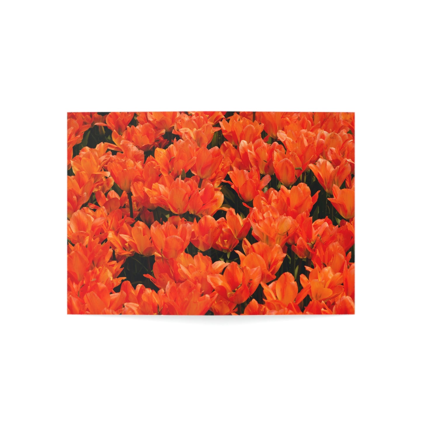 Flowers 03 Greeting Cards (1, 10, 30, and 50pcs)