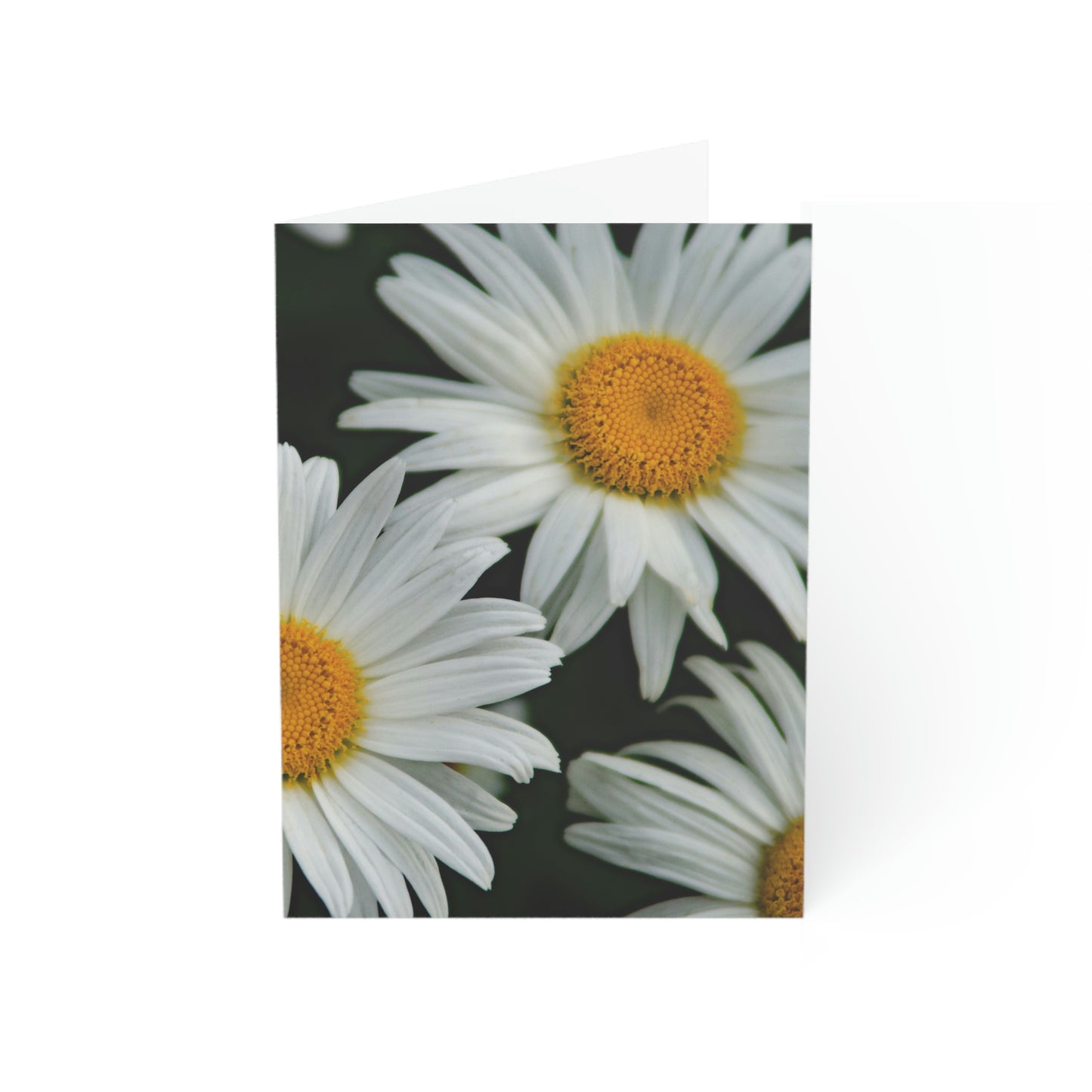 Flowers 01 Greeting Cards (1, 10, 30, and 50pcs)