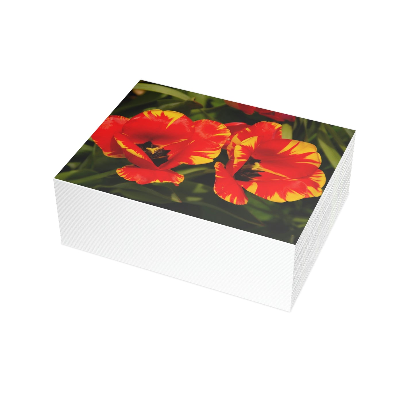 Flowers 12 Greeting Card Bundles (envelopes not included)