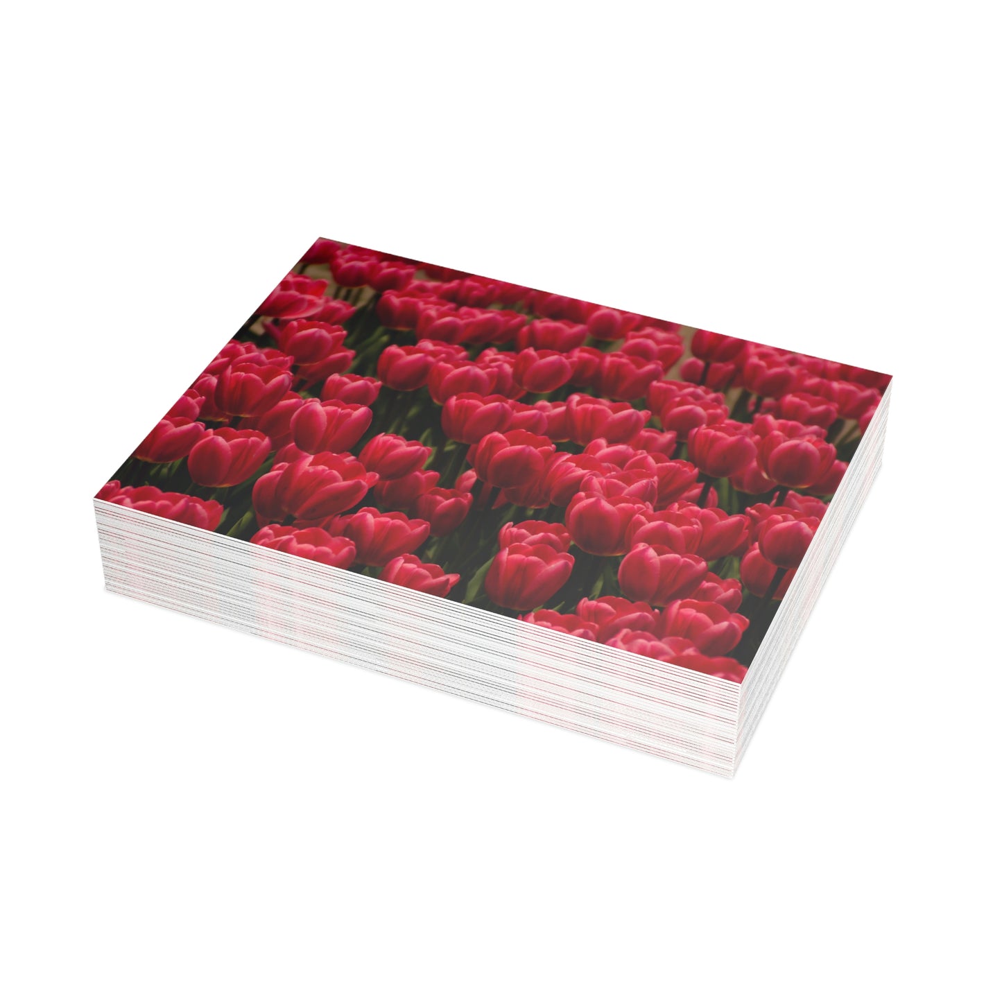 Flowers 15 Greeting Card Bundles (envelopes not included)