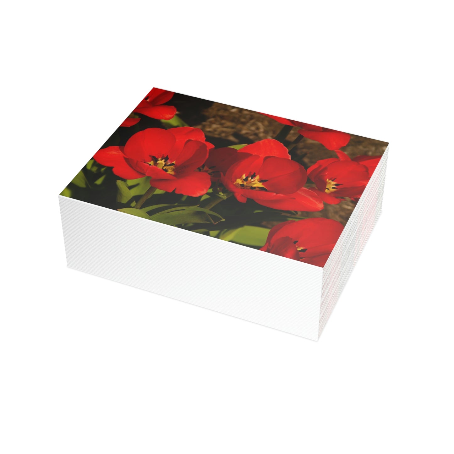 Flowers 05 Greeting Card Bundles (envelopes not included)