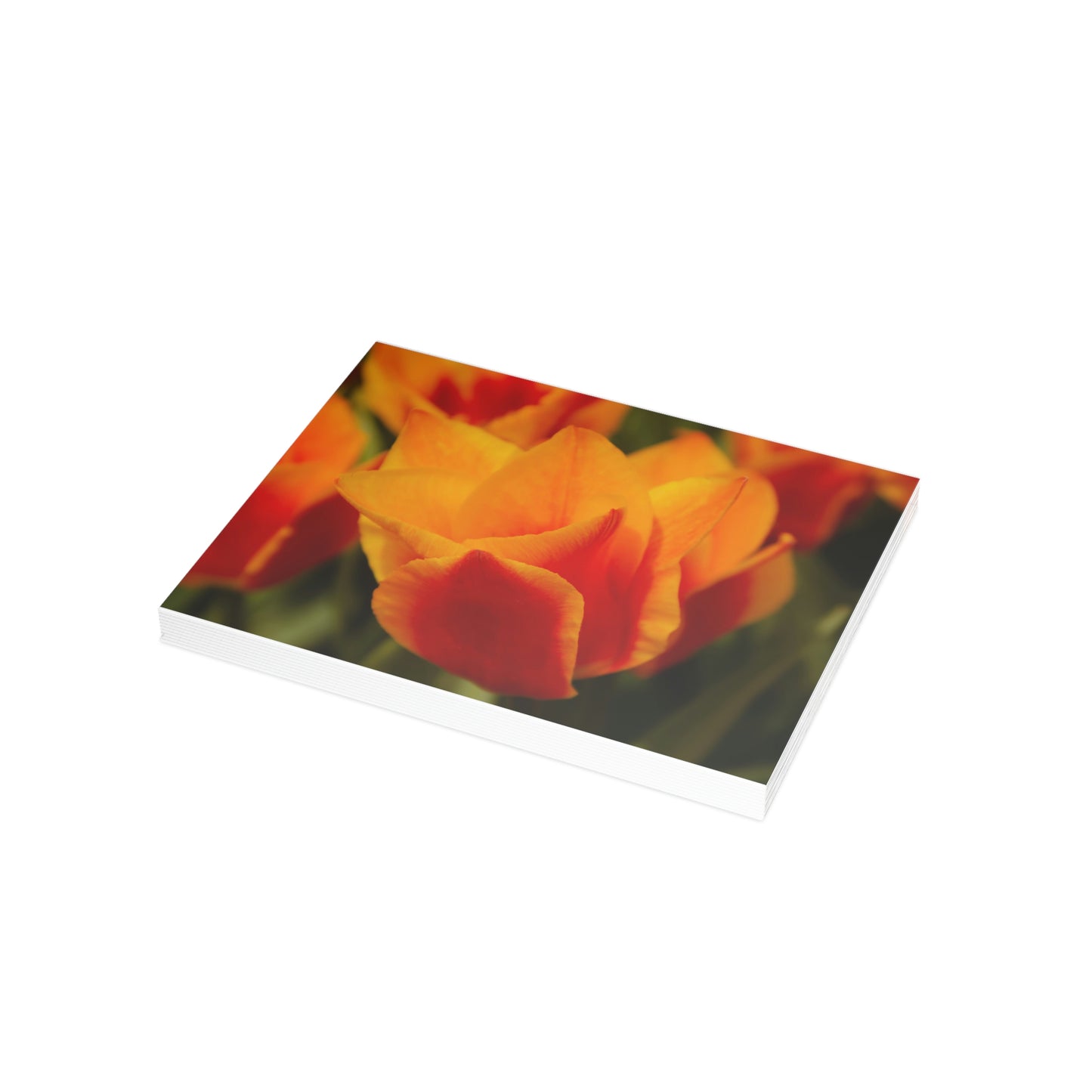 Flowers 13 Greeting Card Bundles (envelopes not included)