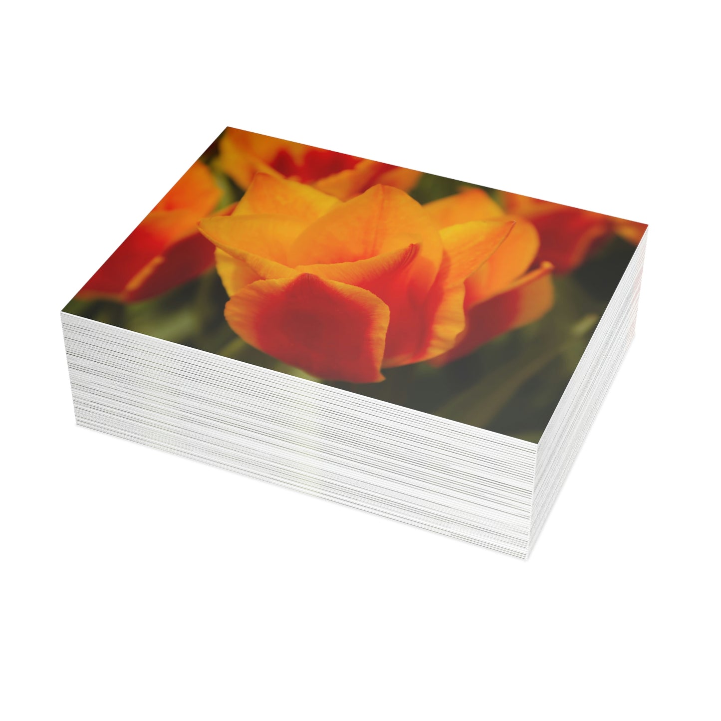 Flowers 13 Greeting Card Bundles (envelopes not included)