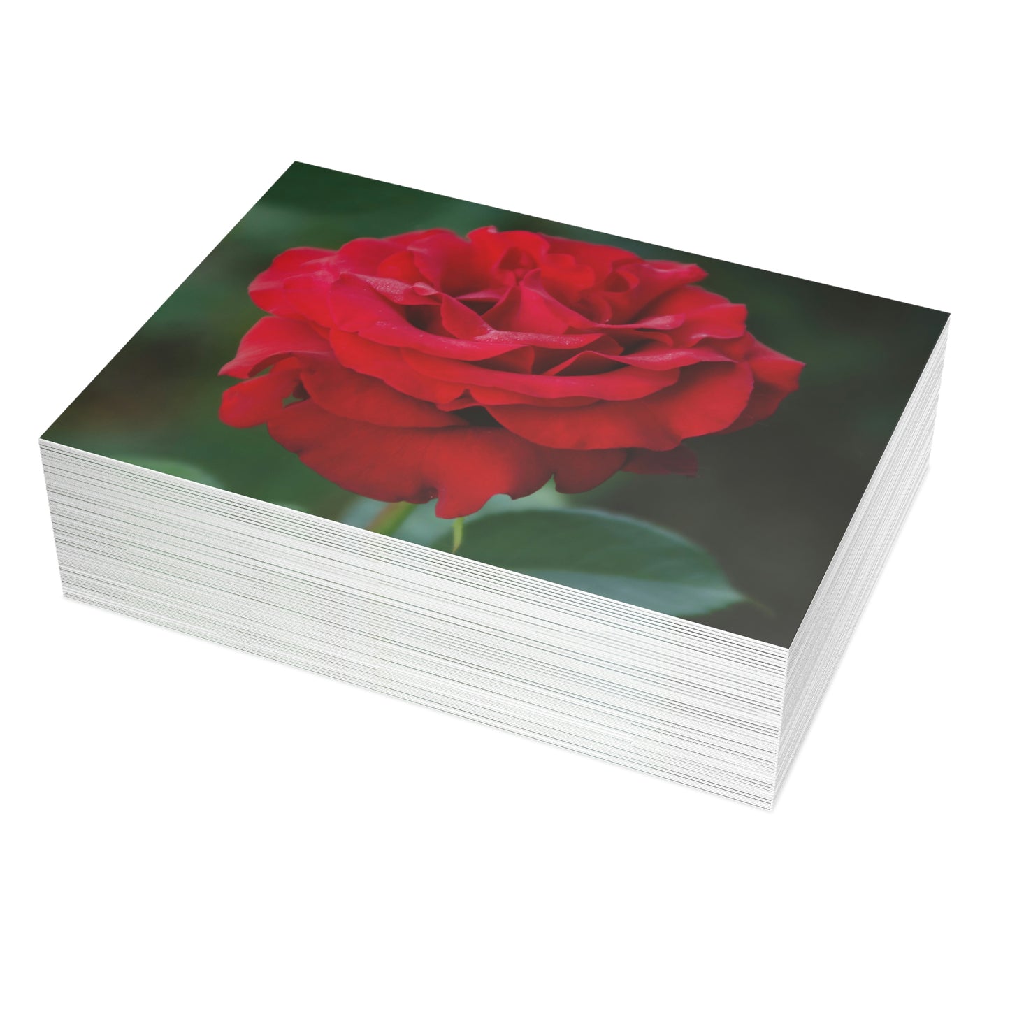 Flowers 14 Greeting Card Bundles (envelopes not included)