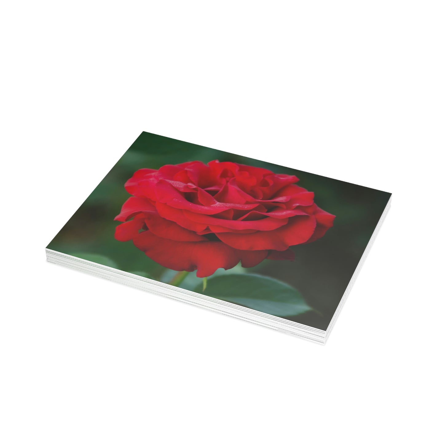 Flowers 14 Greeting Card Bundles (envelopes not included)