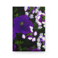 Flowers 04 Hardcover Journal Matte