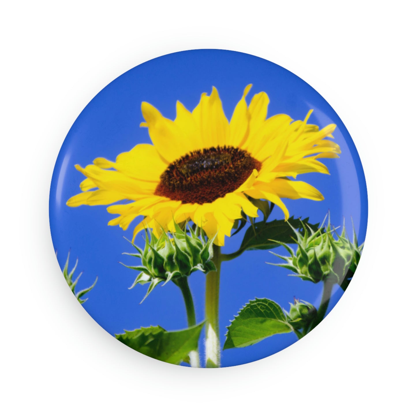 Flowers 02 Button Magnet, Round (1 & 10 pcs)