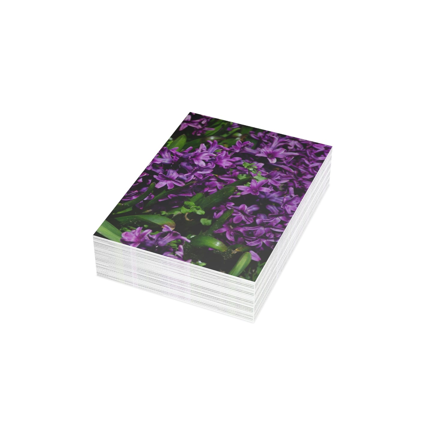 Flowers 21 Greeting Cards (1, 10, 30, and 50pcs)