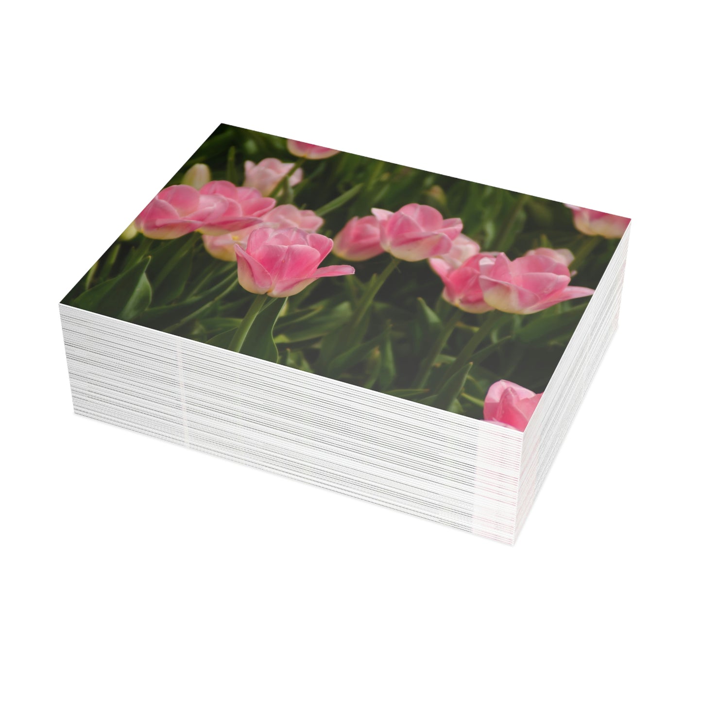 Flowers 17 Greeting Card Bundles (envelopes not included)