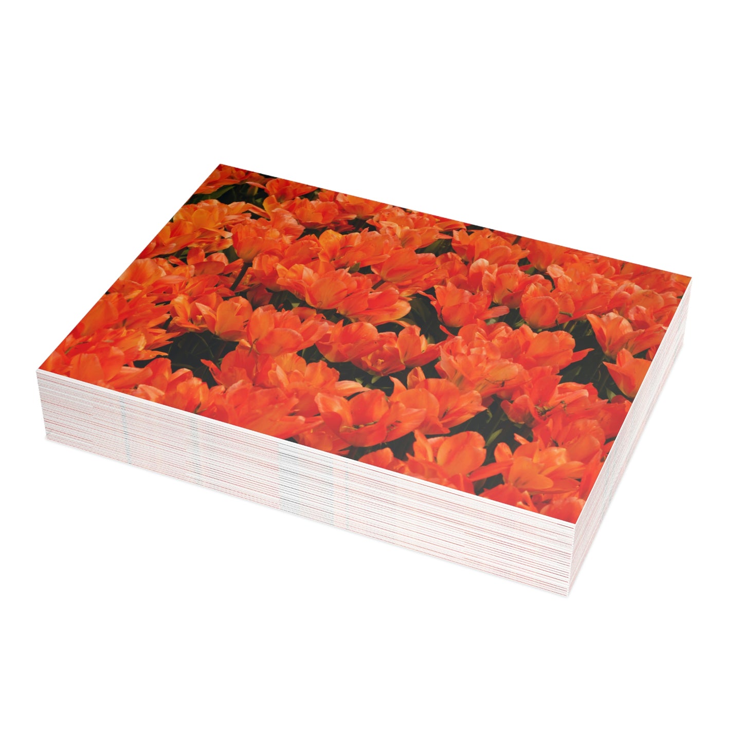 Flowers 02 Greeting Card Bundles (envelopes not included)