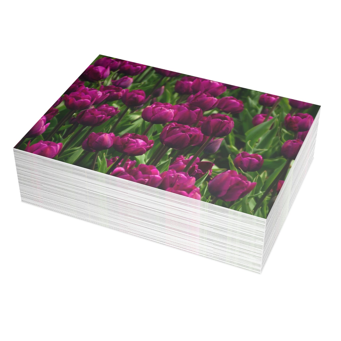 Flowers 18 Greeting Card Bundles (envelopes not included)