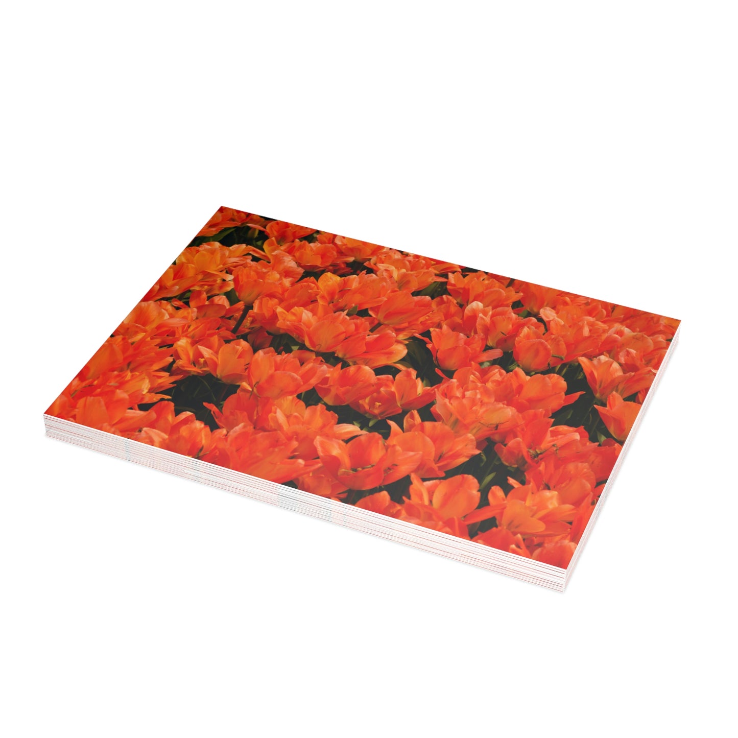 Flowers 02 Greeting Card Bundles (envelopes not included)