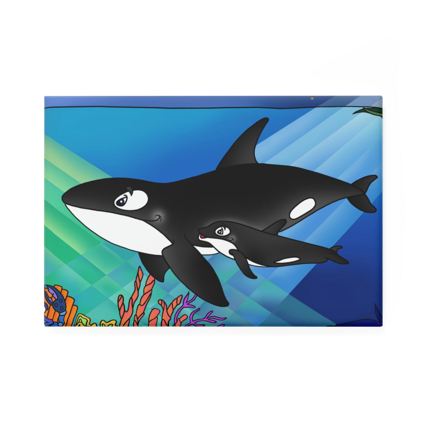 Orcas Button Magnet, Rectangle (1 & 10 pcs)