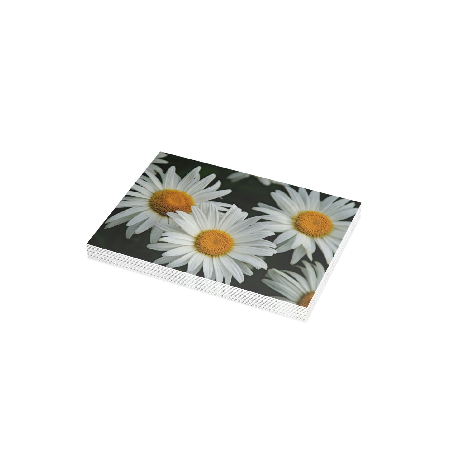 Flowers 07 Greeting Card Bundles (envelopes not included)