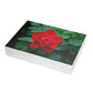 Flowers 06 Greeting Card Bundles (envelopes not included)