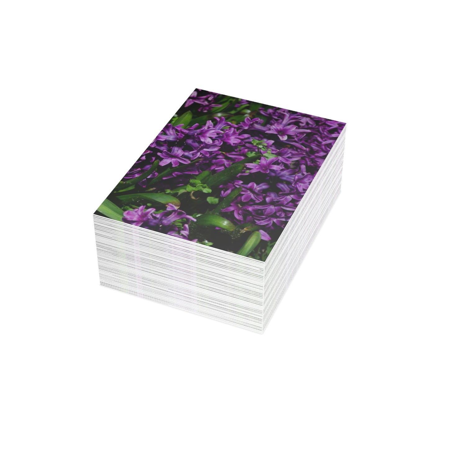 Flowers 21 Greeting Cards (1, 10, 30, and 50pcs)