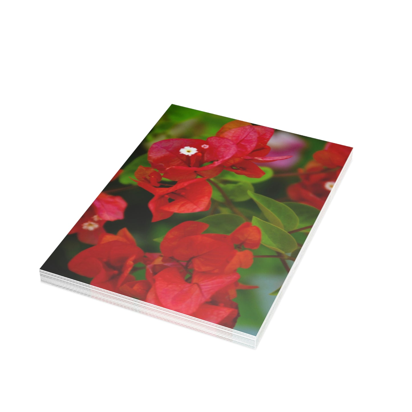 Flowers 27 Greeting Card Bundles (envelopes not included)