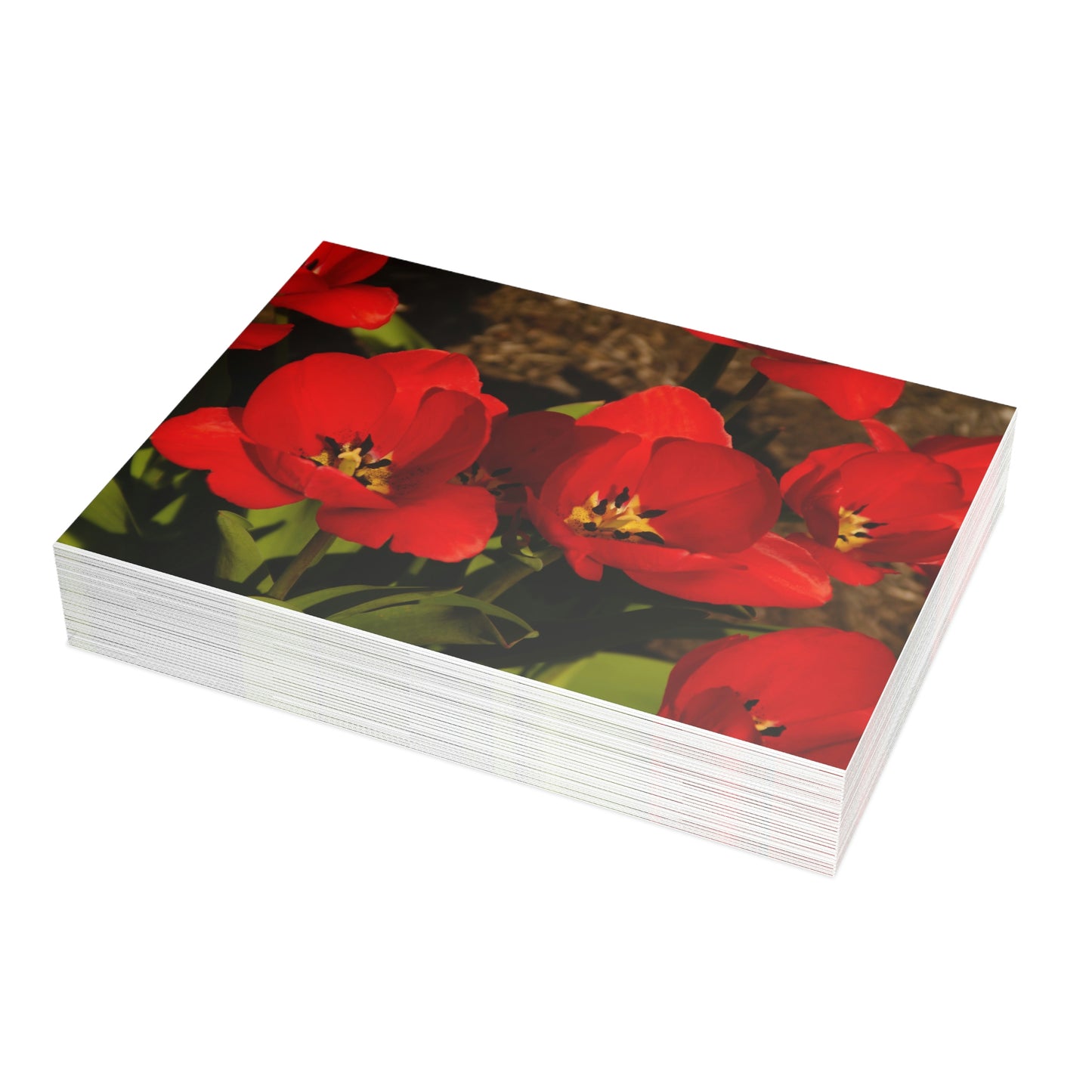 Flowers 05 Greeting Card Bundles (envelopes not included)