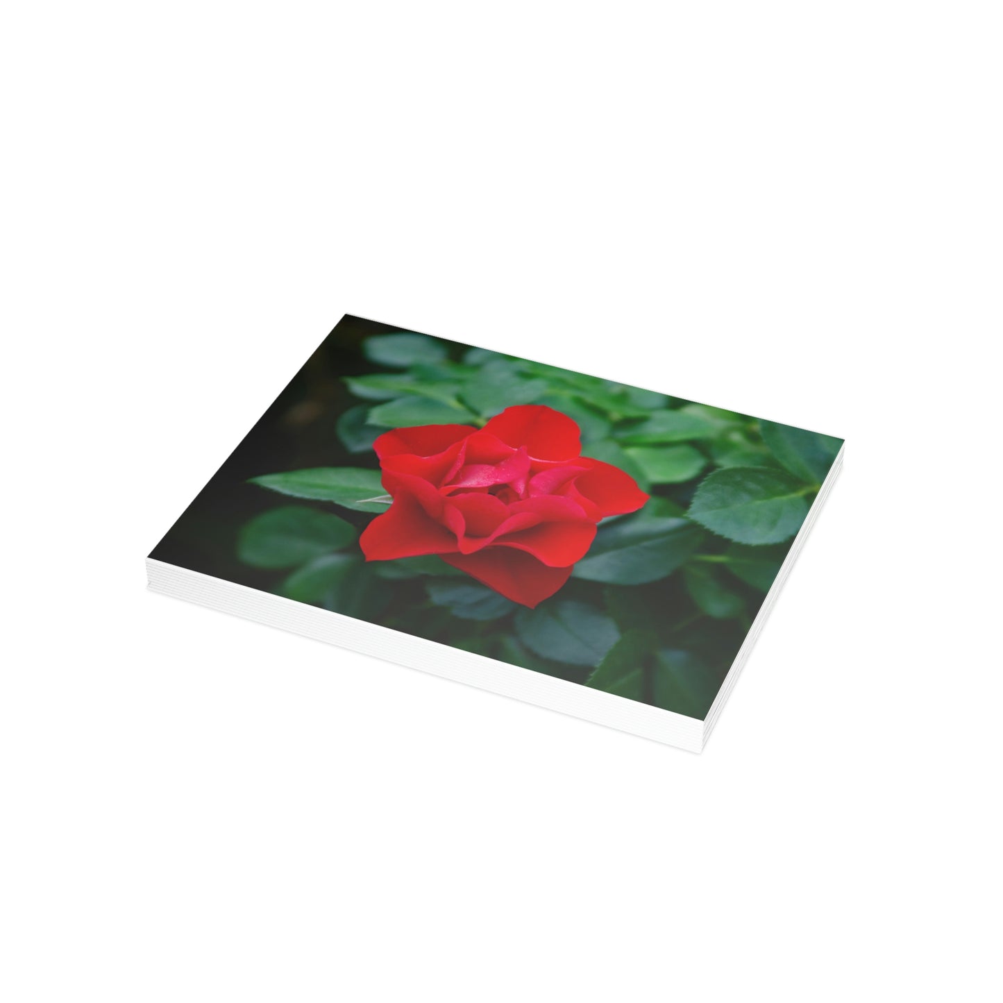 Flowers 06 Greeting Card Bundles (envelopes not included)