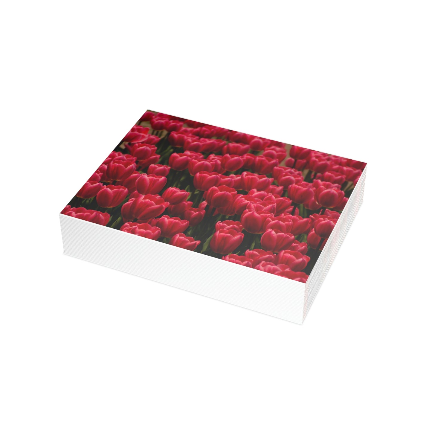 Flowers 15 Greeting Card Bundles (envelopes not included)