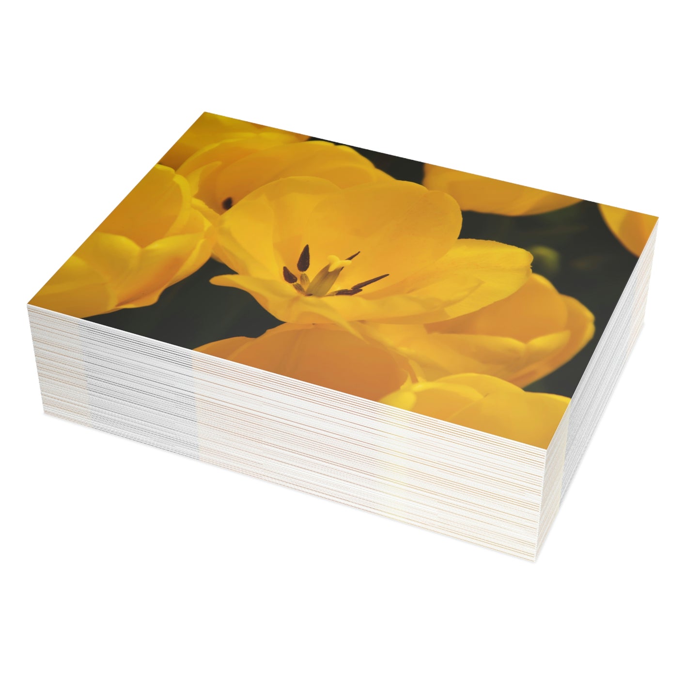 Flowers 16 Greeting Card Bundles (envelopes not included)