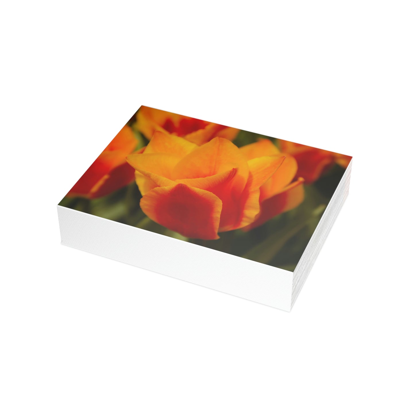 Flowers 13 Greeting Card Bundles (envelopes not included)