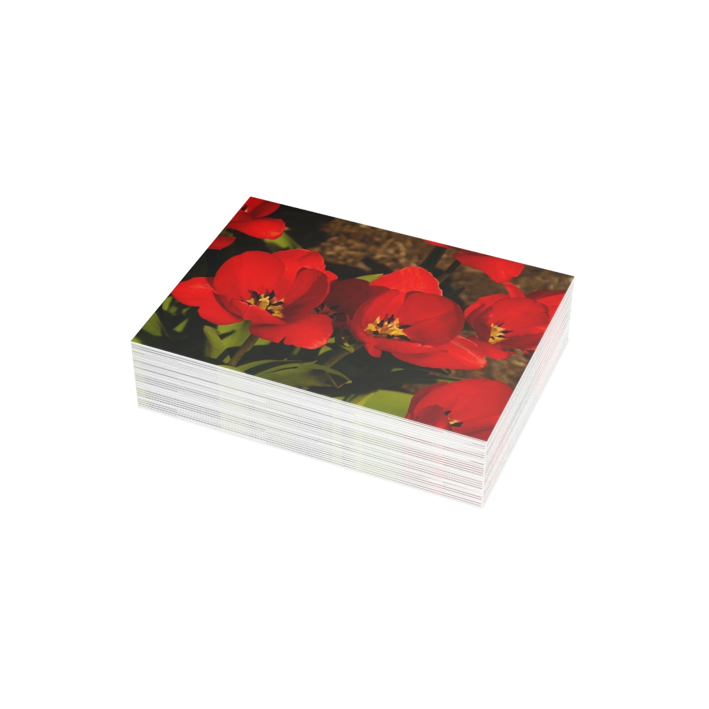 Flowers 05 Greeting Card Bundles (envelopes not included)