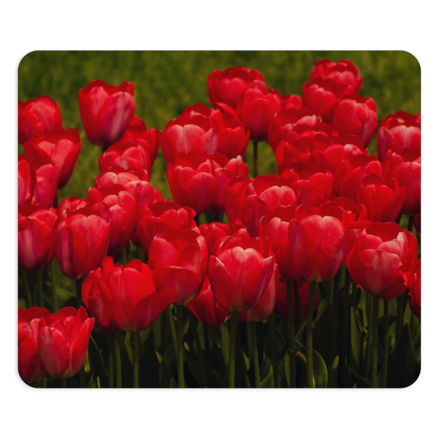 Flowers 22 Rectangle Mouse Pad