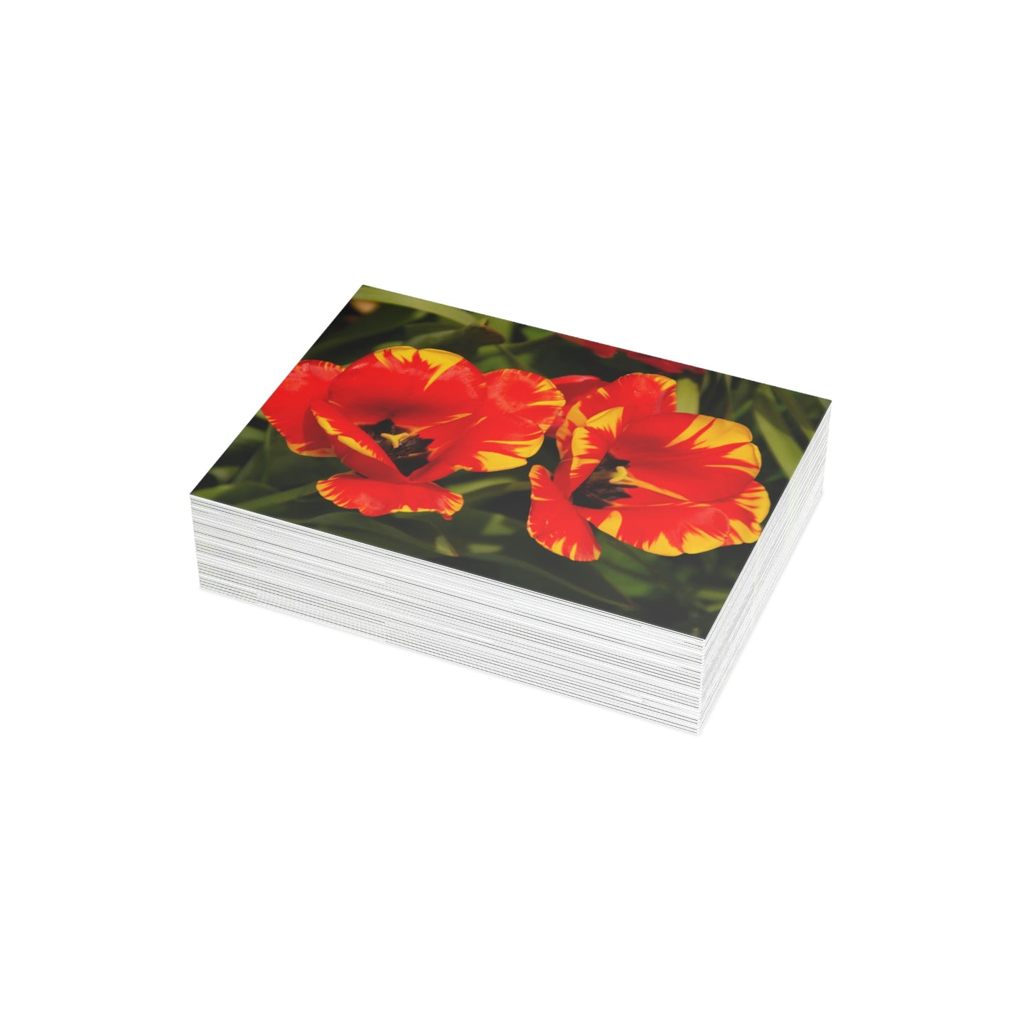 Flowers 12 Greeting Card Bundles (envelopes not included)