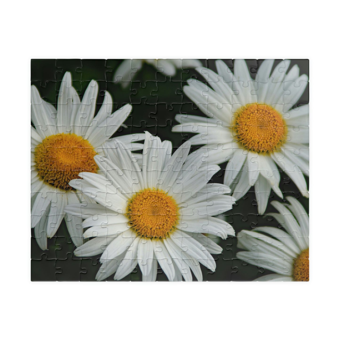 Flowers 01 Puzzle (110, 252, 500, 1014-piece)